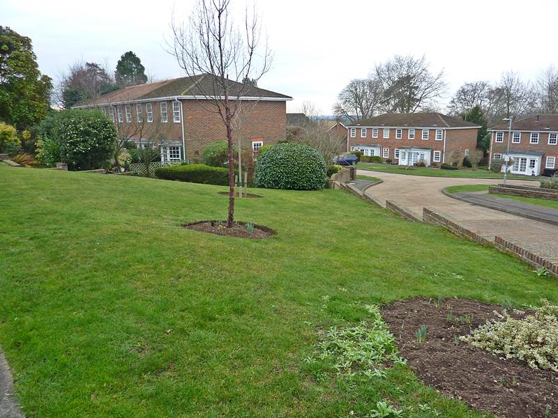 Communal Gardens