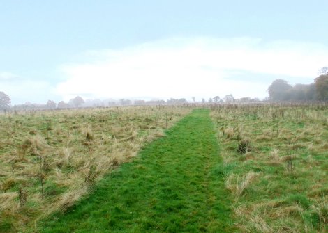 View of land