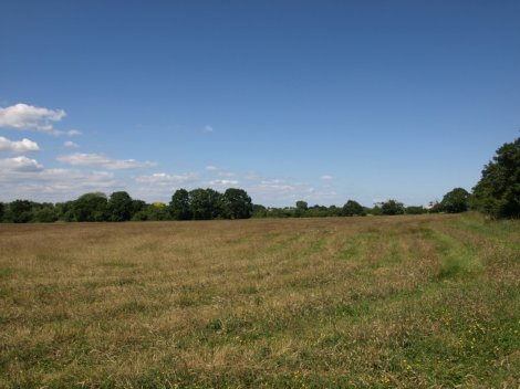 View of land 3