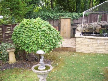 Rear garden