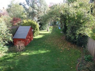 View of garden