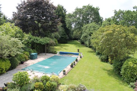 View of garden