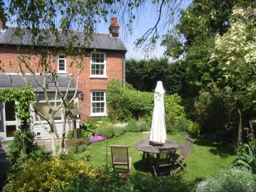 View of garden
