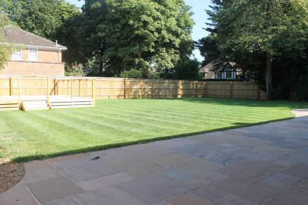 garden
