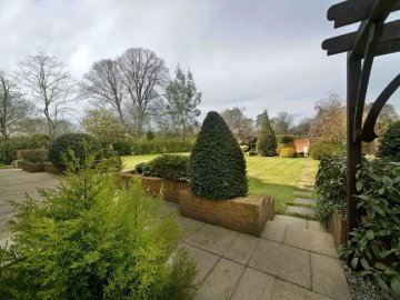 View of garden