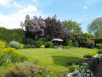 View of garden