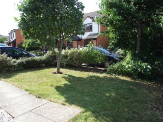 Front garden