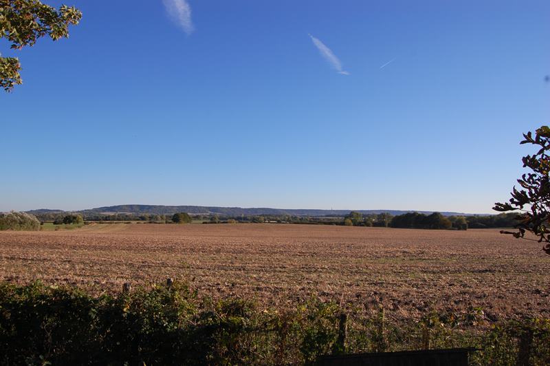 Rear Garden Views