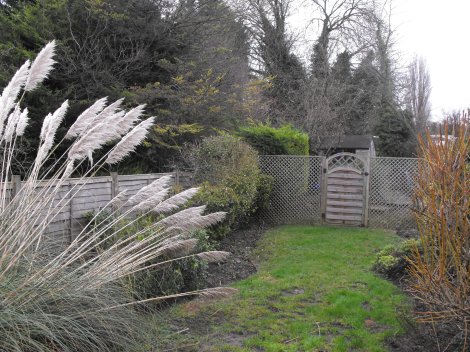 View of garden