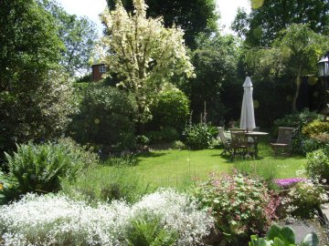 View of garden