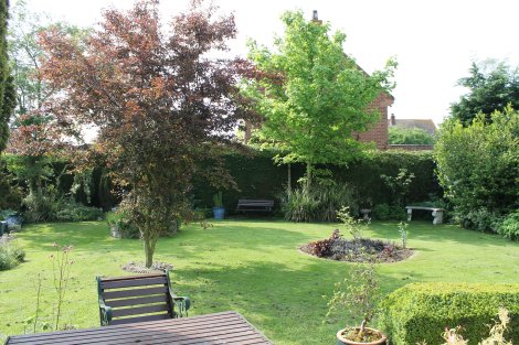 View of garden