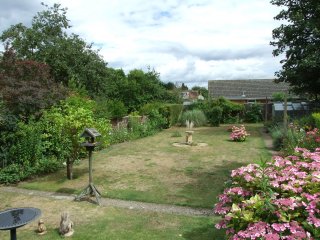 View of garden