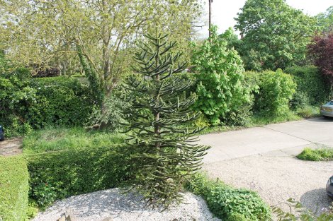 view to front