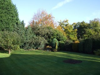 further garden view