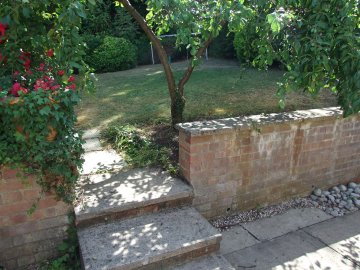 Rear garden