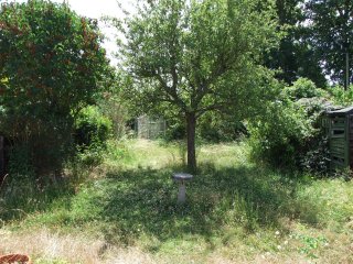 View of garden