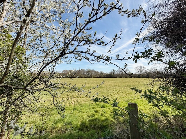 View to rear