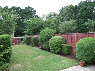 View of garden