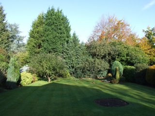 View of garden