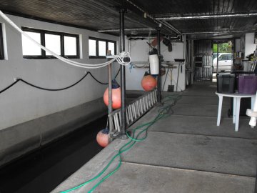 wet & dry dock