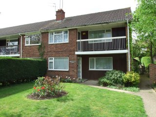 Alt. View of property