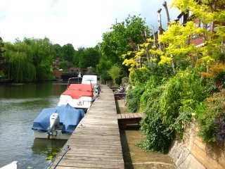 View of river