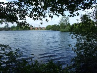 lake view