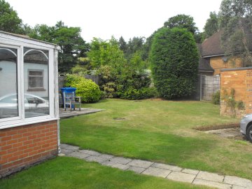 View of garden