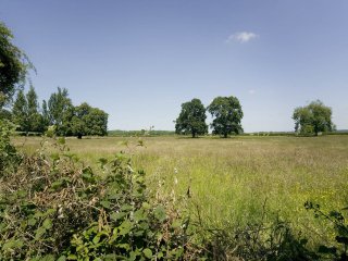 Alternative view