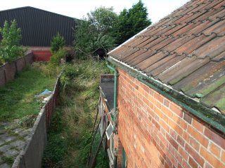 View of rear
