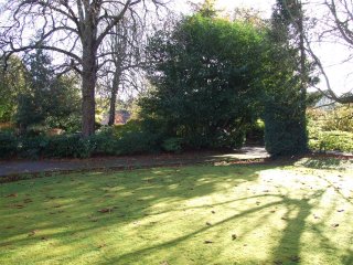 front garden & drive