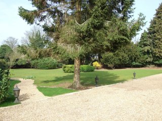 Grounds