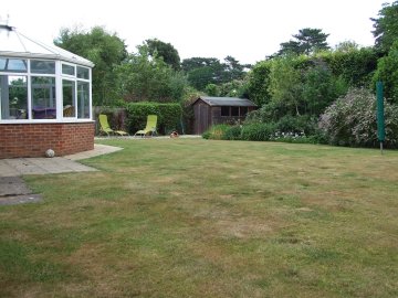 Back garden