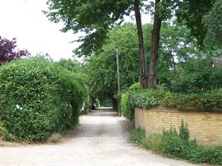 Lane view