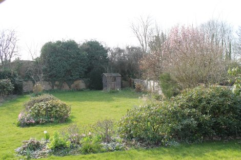 View of garden