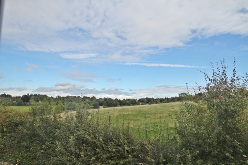 View of Field