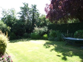 View of garden