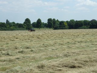 View of Pinkneys Green