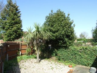 View of garden